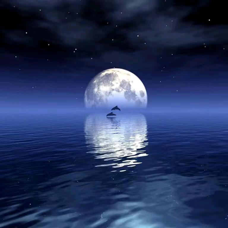 海超