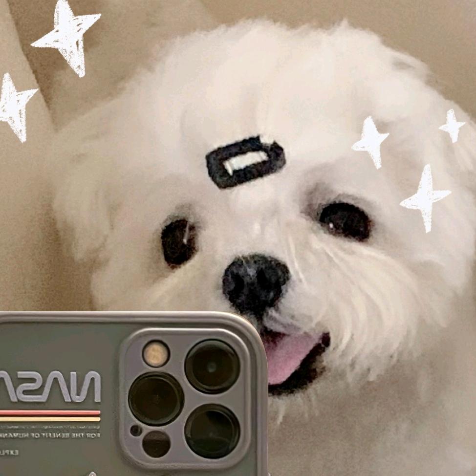 Wcutez