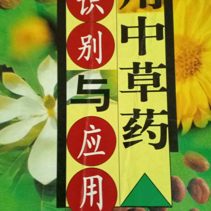 深山药帅