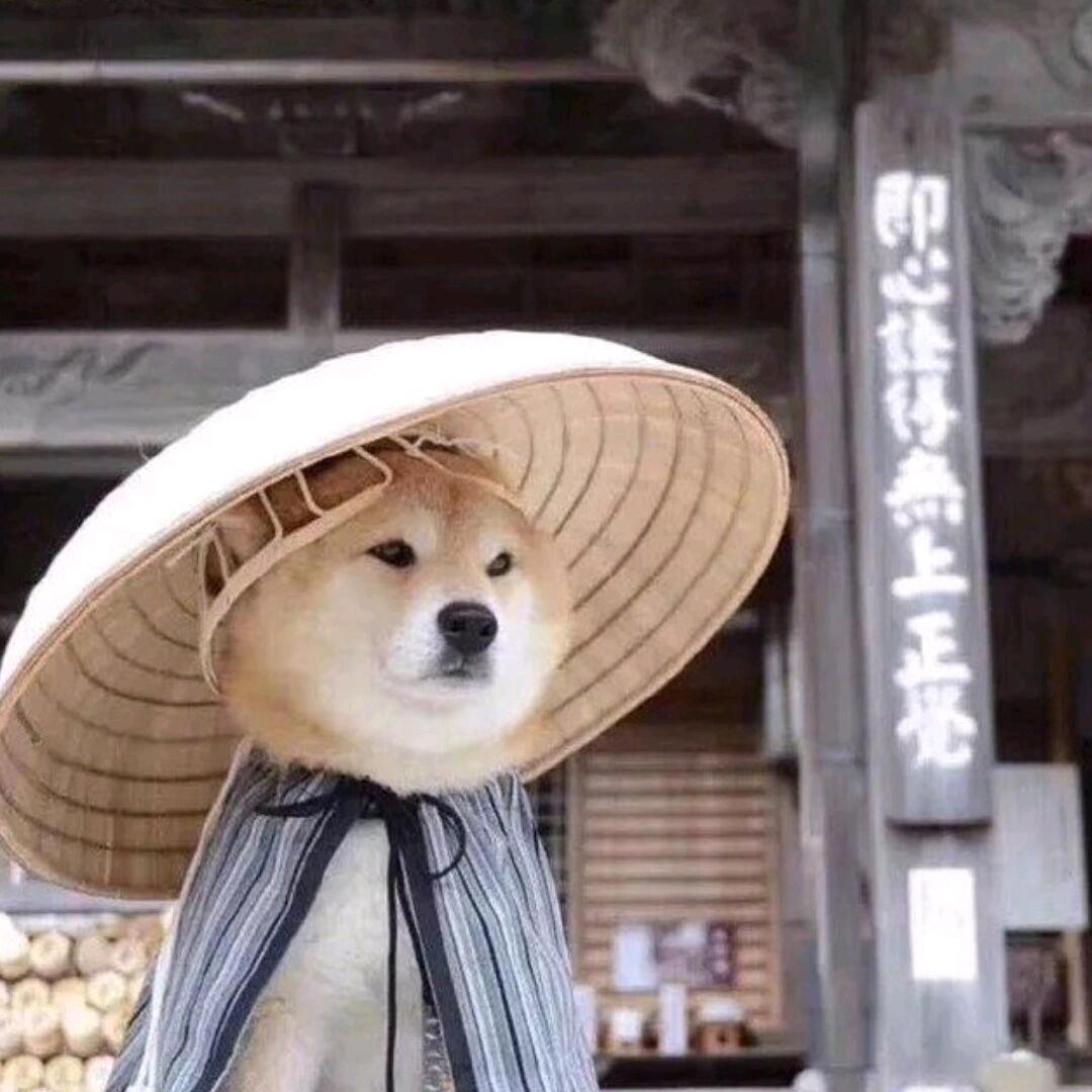 失意尽常态