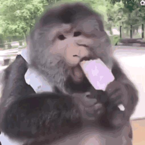 枪六六一号机