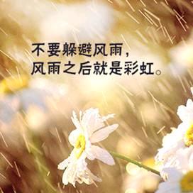 冷锋头像