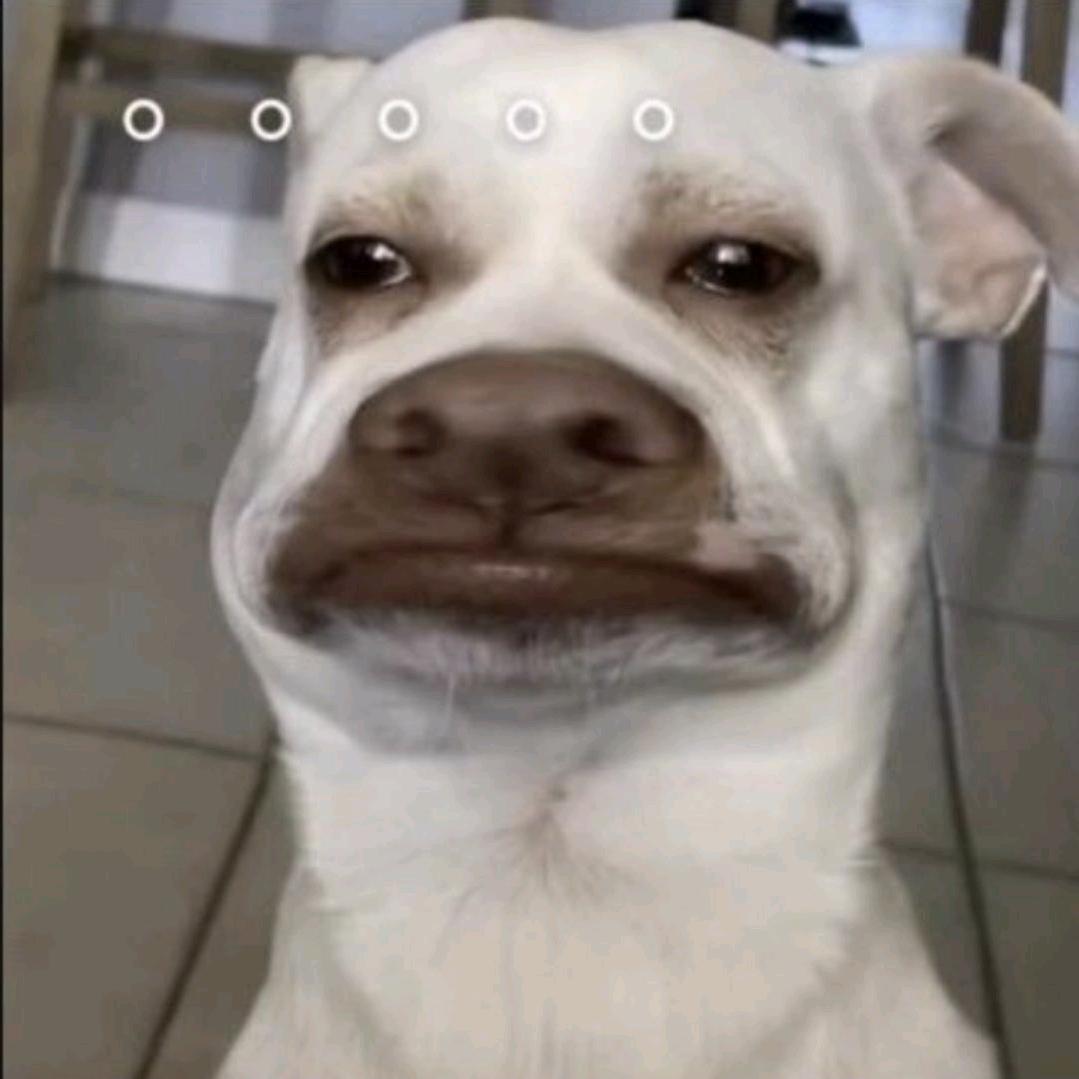 黔农特产优品