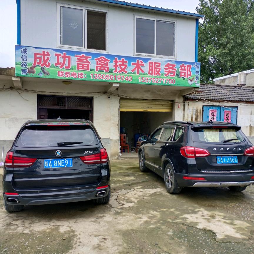 成功禽病技术员