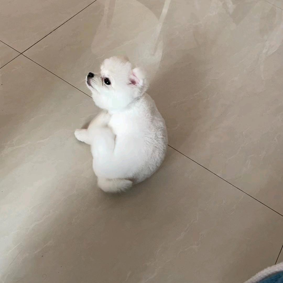 风里