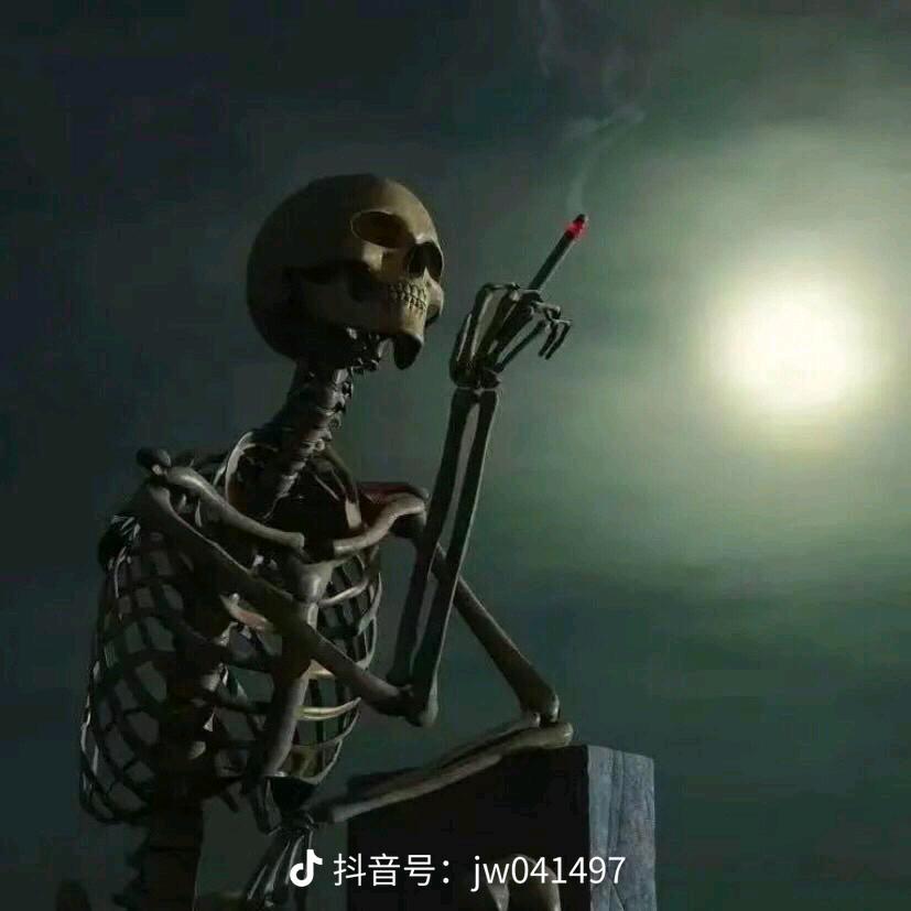 属我最牛