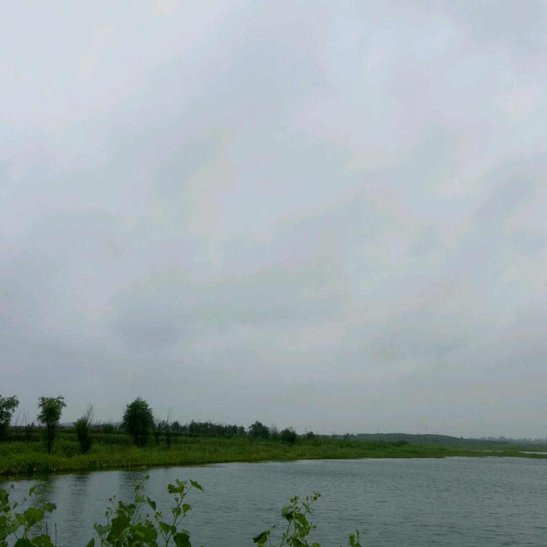 漂泊已久