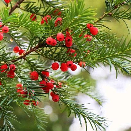 用户3487813584993王艺卓