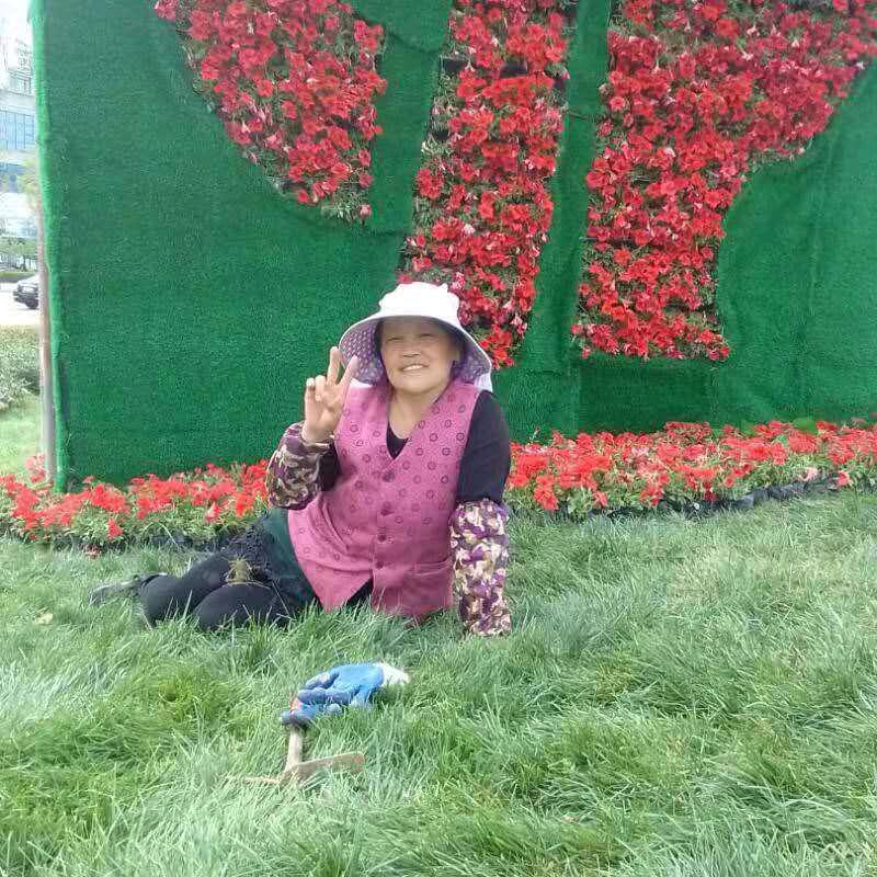 芳玲