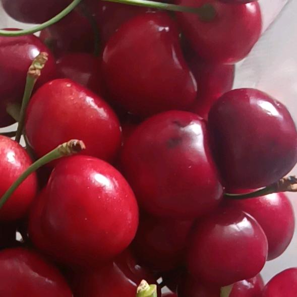 奋斗中的人。用户294410543611