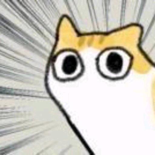 螺旋猫/