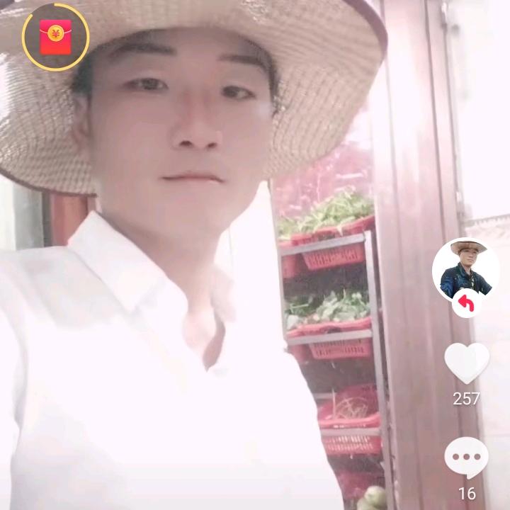 单身的
