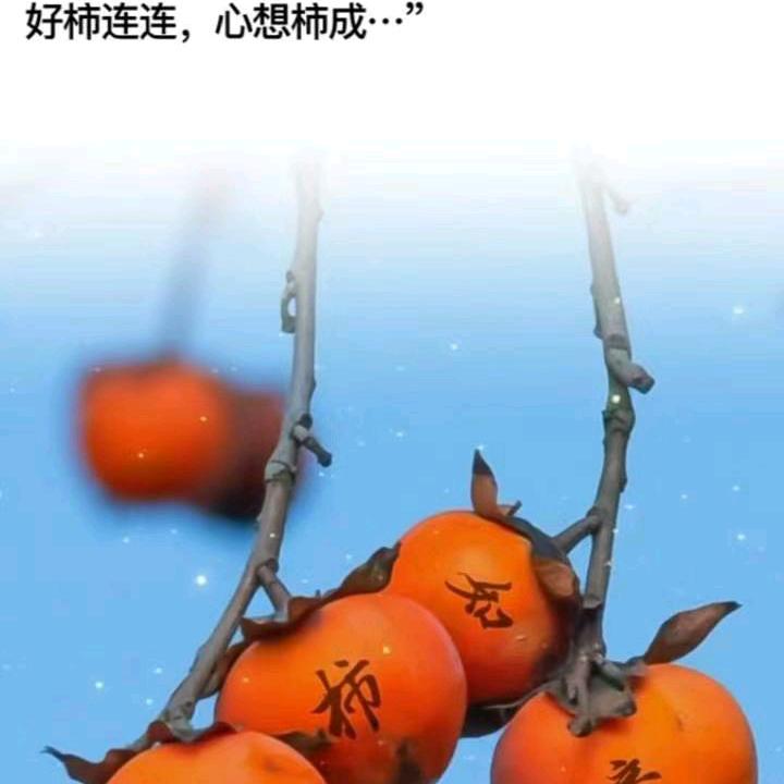 用户192940945