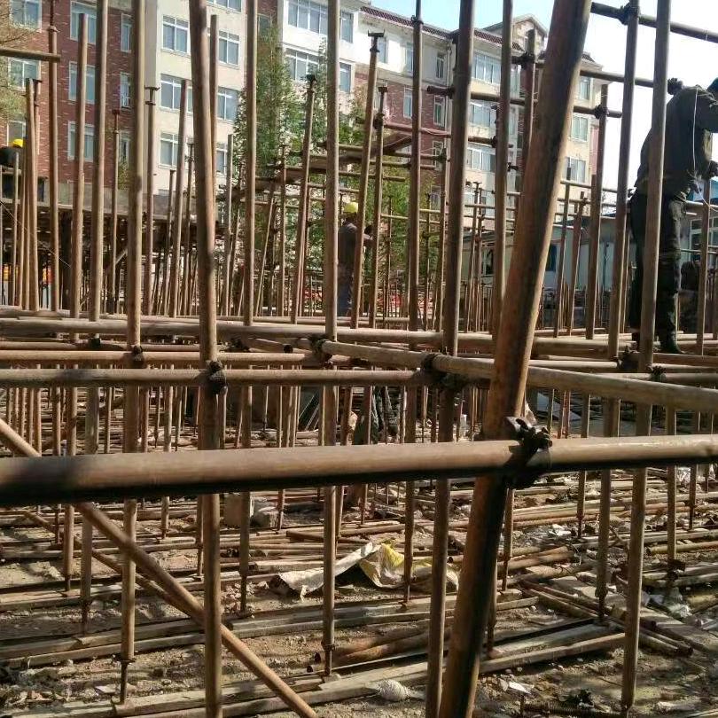 初见少年拉满弓