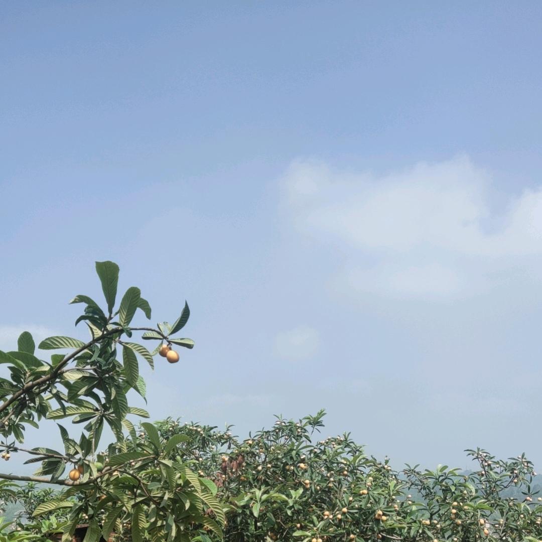 爱人不如爱己💝