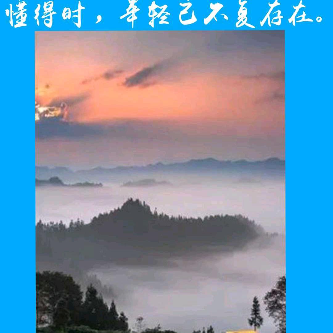 胜哥