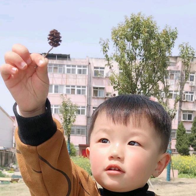 ✿✿雲淡風輕✿✿