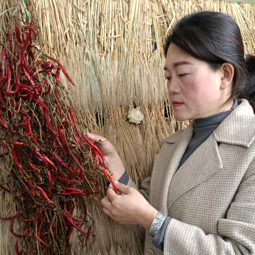 云南红英姐