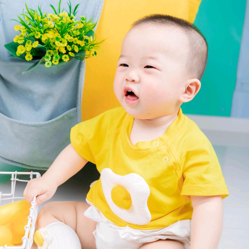 呆呆的槑槑