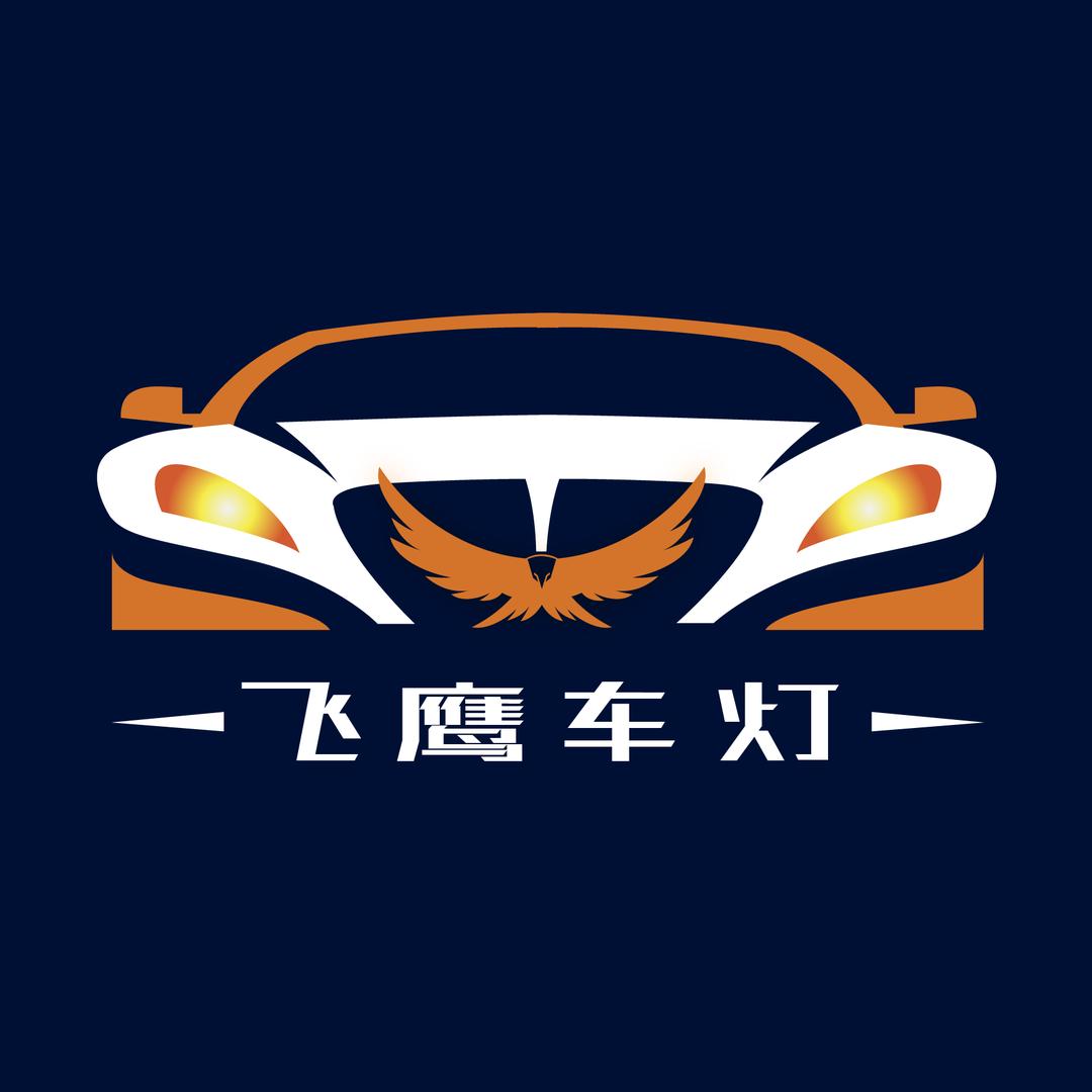 飞鹰车灯破碎修复技术培训