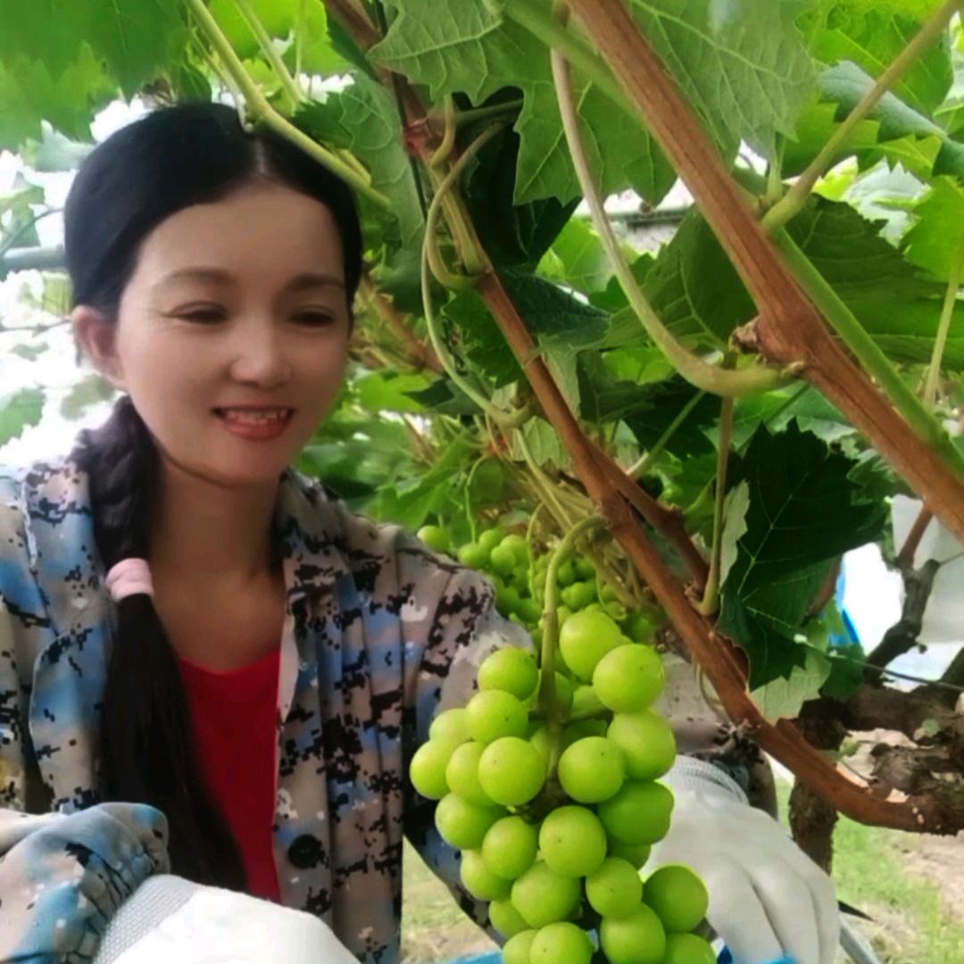 小葡萄
