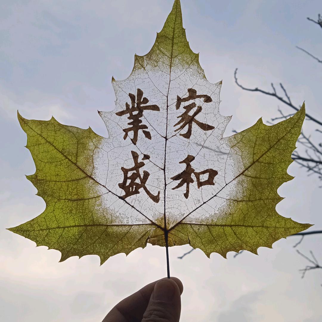 疯狂的叶子