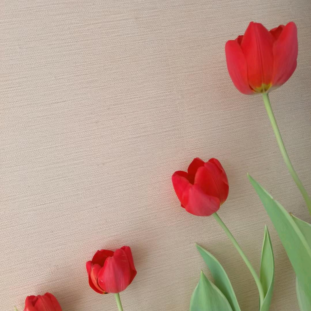 溪听采耳·头疗宠粉号