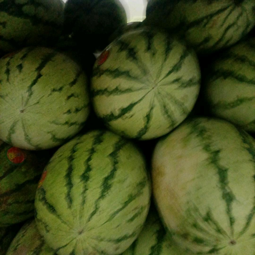 舞钢市振启水果店