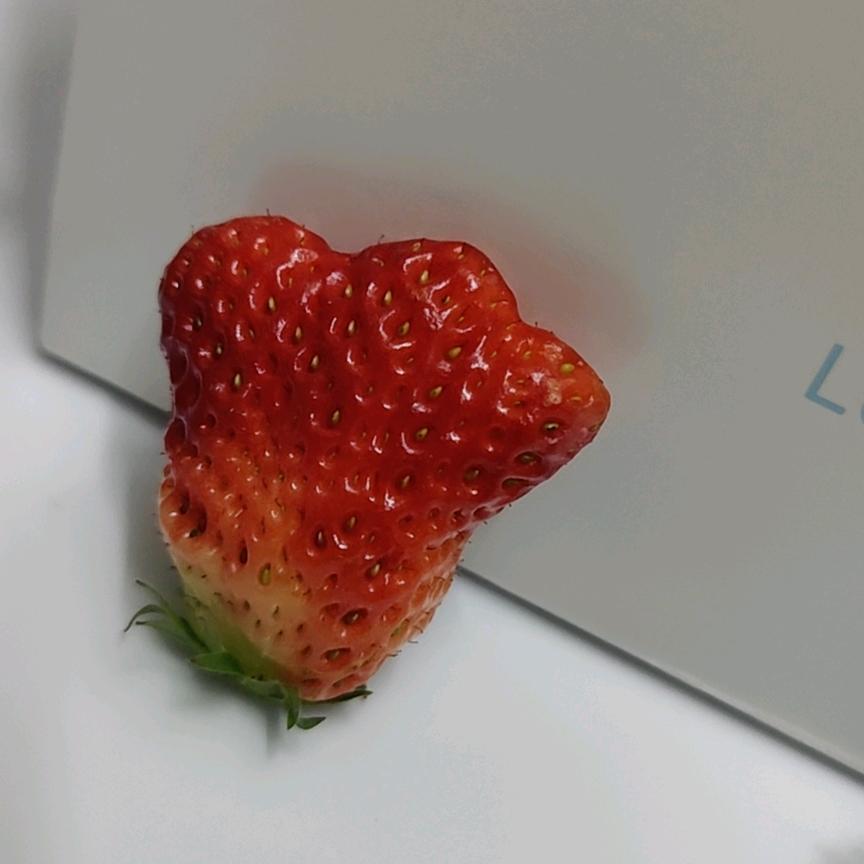 喜欢发疯的梅子