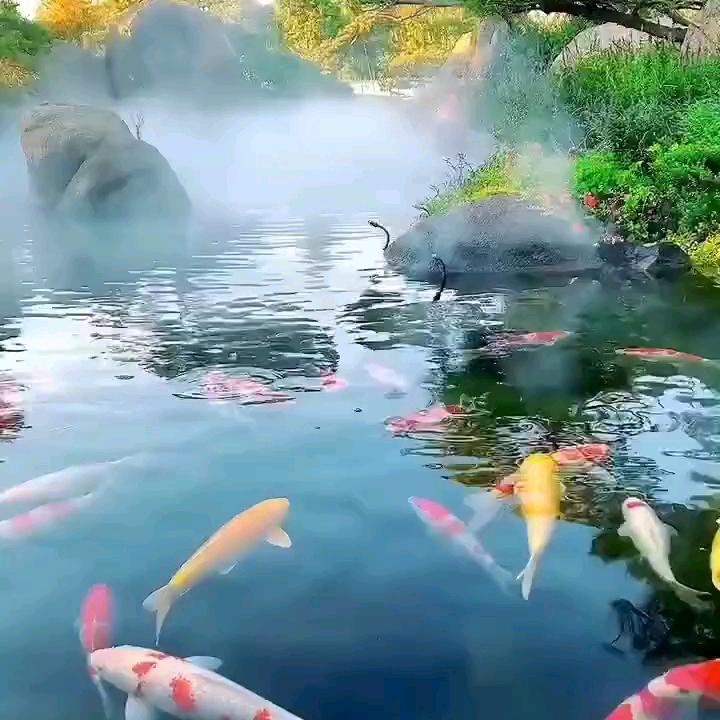 星峰