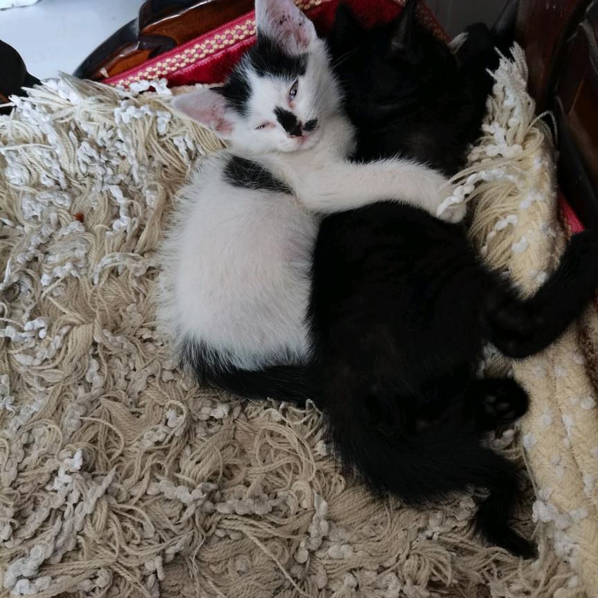 এ杯中烈酒໌ᮨ🚬敬余生🍶དྷ༗