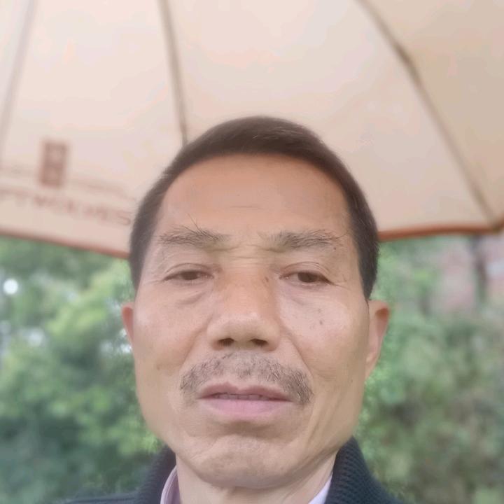 山林