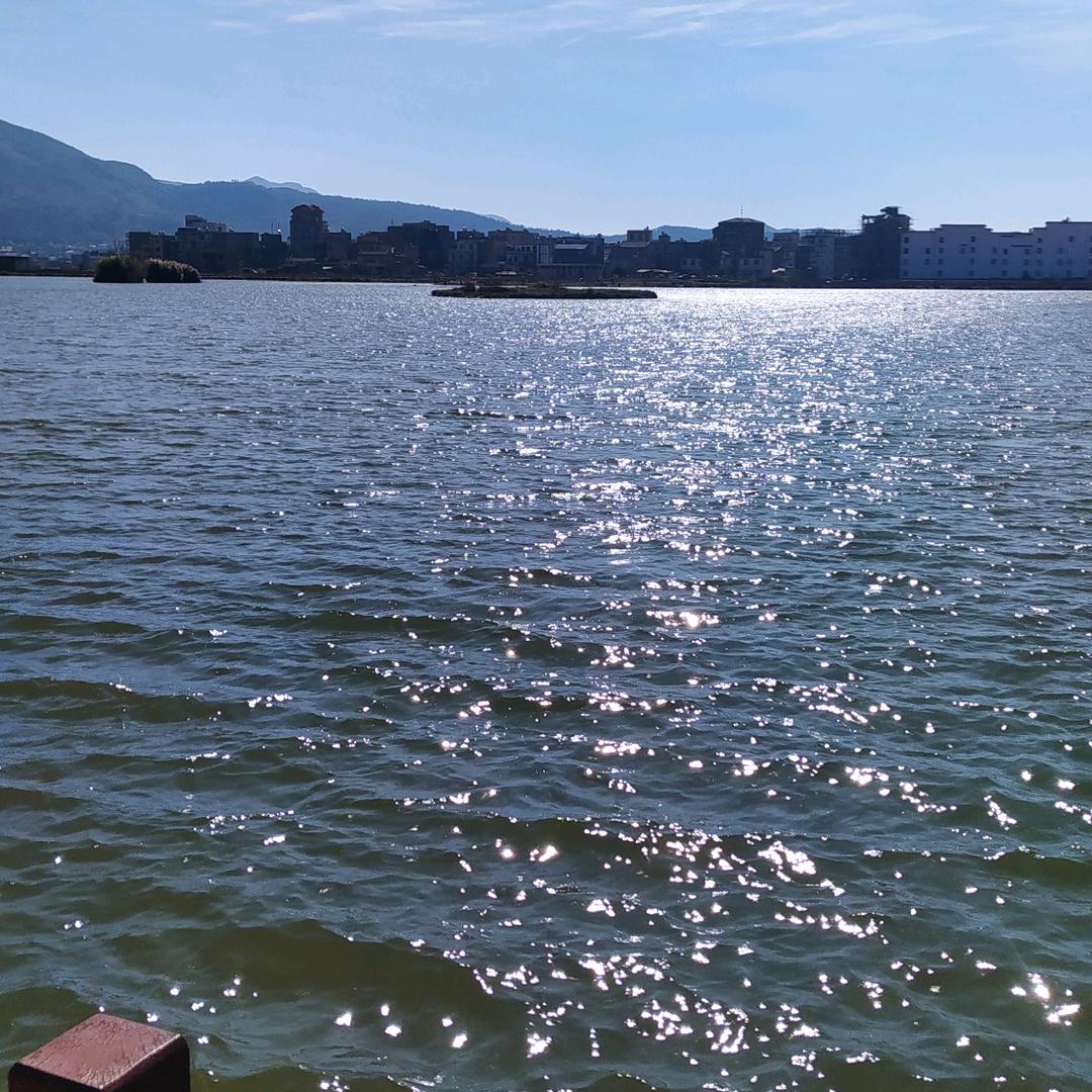 🌲🍃余～生🌿🎋随☁🍂🥀心❤️