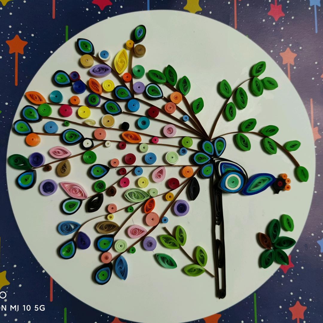 小鱼🐠小鱼🐠