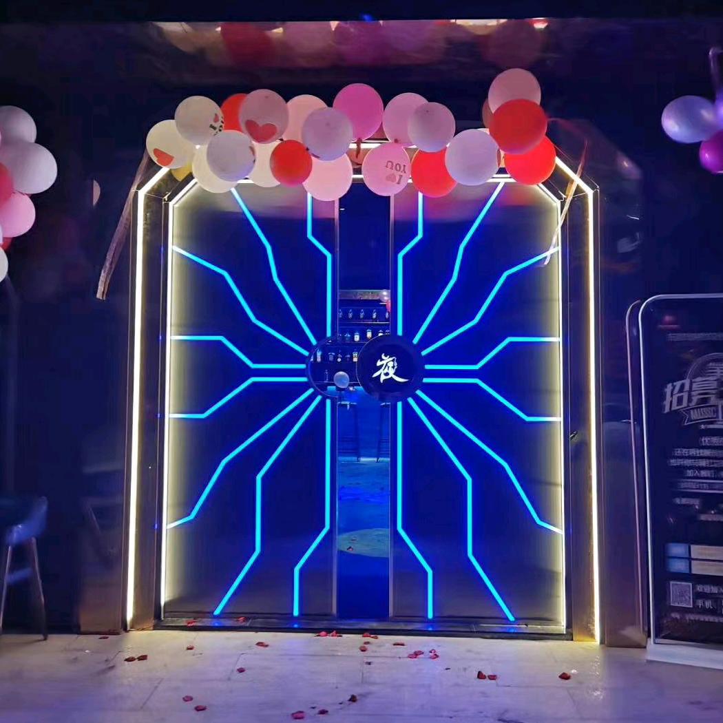 广东网红门科技门厂家