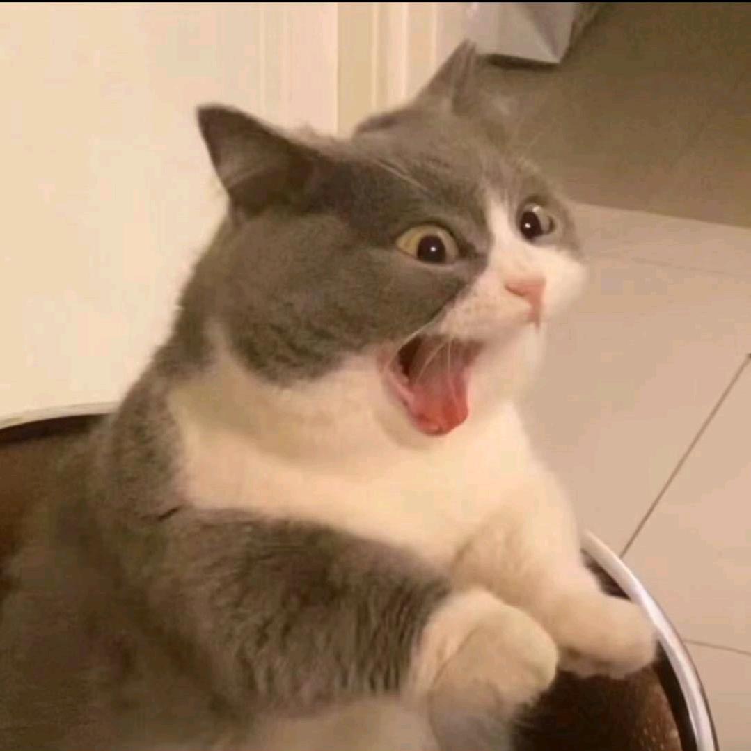 皮皮旭