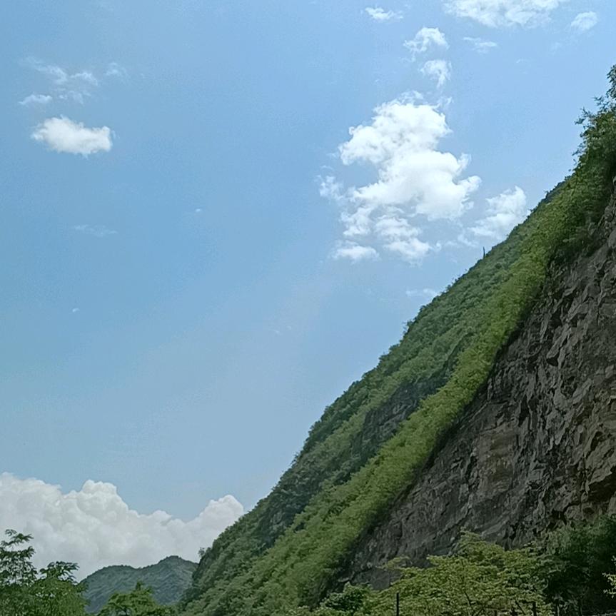 西瓜🍉哥