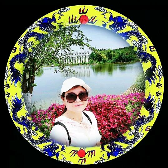 龍行⭐红枫叶（13）