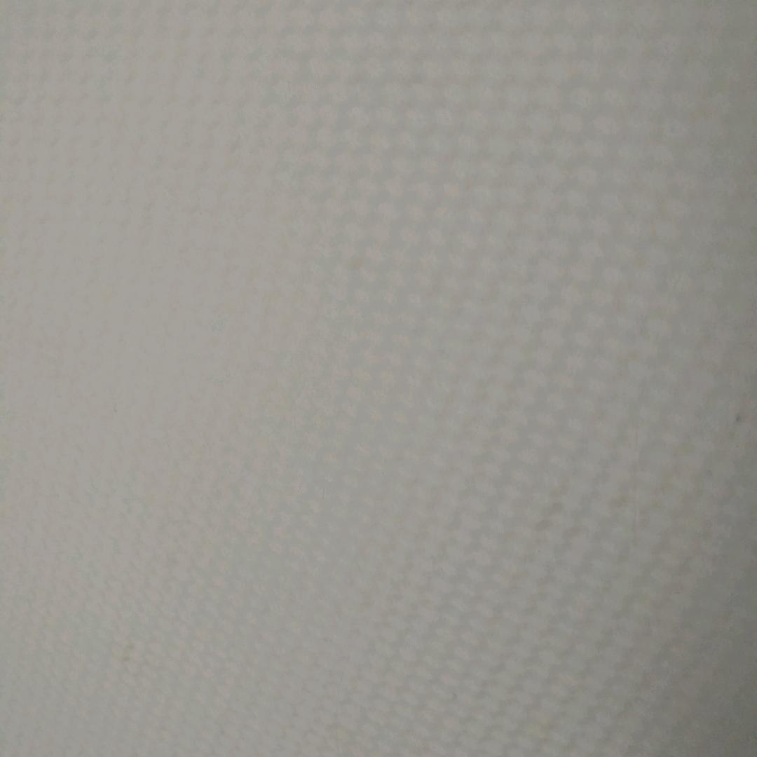 体育委员