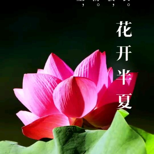 开心快乐