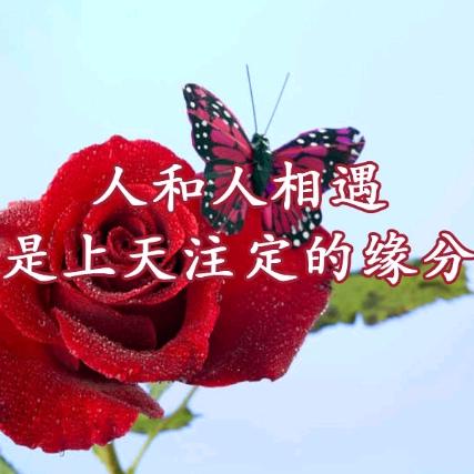 🌅明天会更好🌅