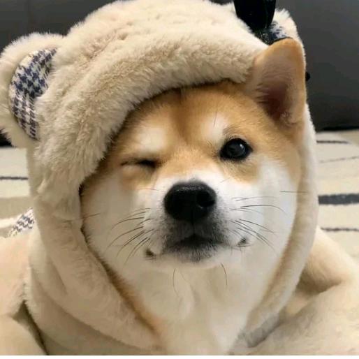 小董不吃辣