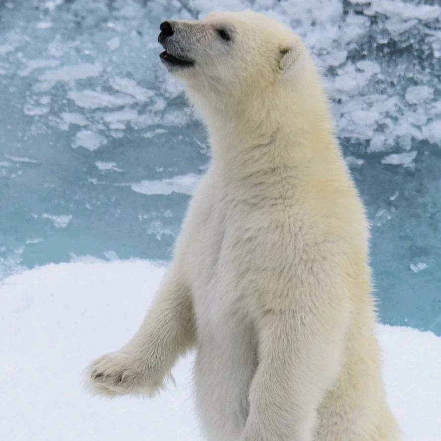 一人独自饮酒醉