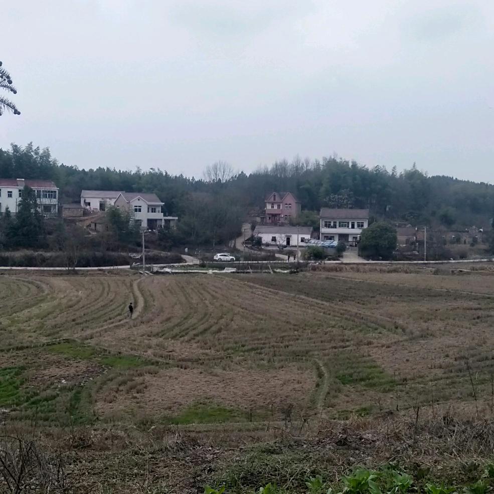 南陵土建