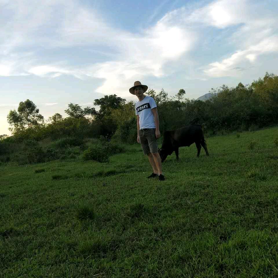 世界格局观