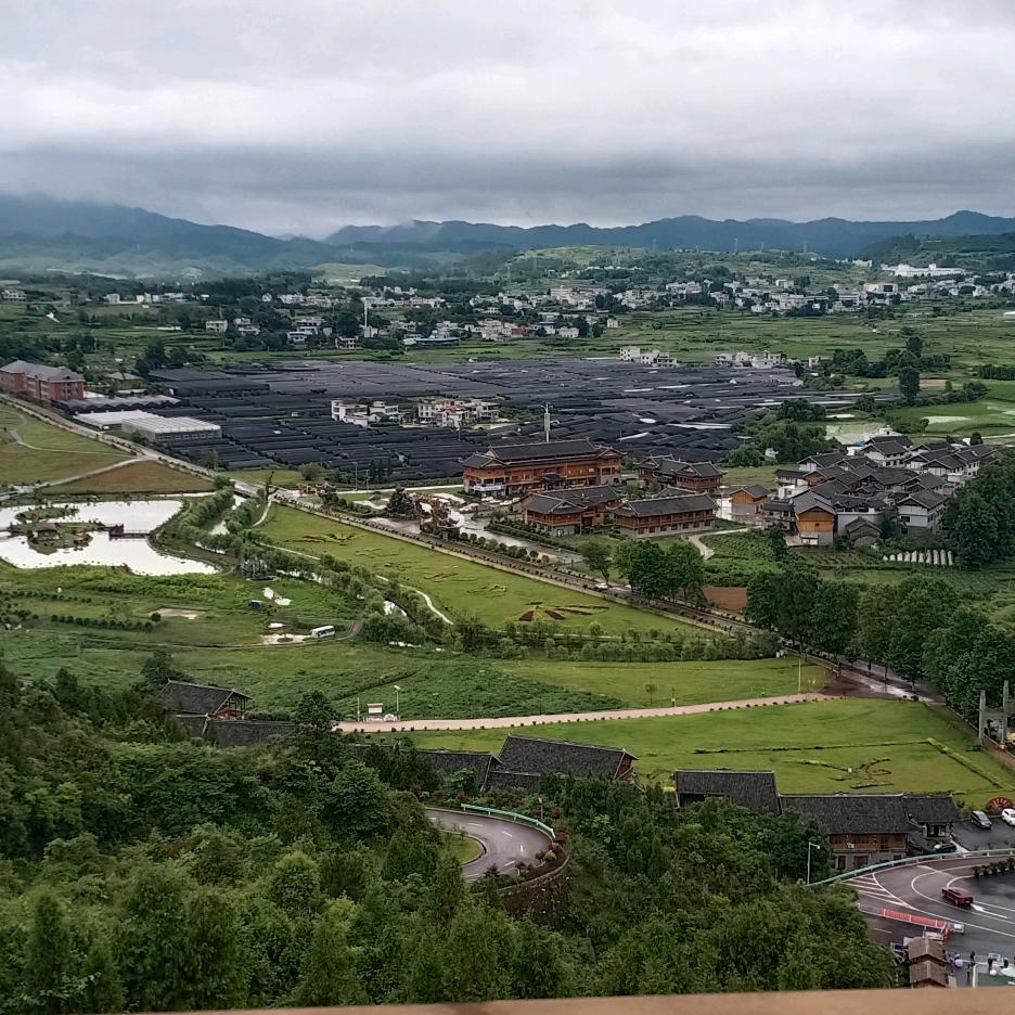 小鹅鹅鹅