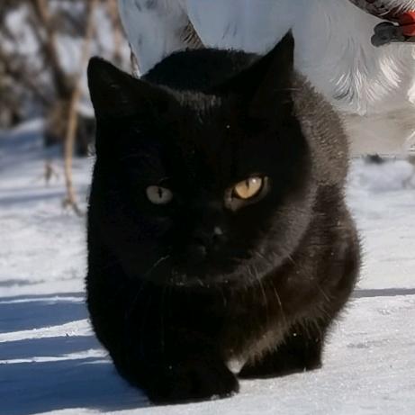 我就这样—记录生活