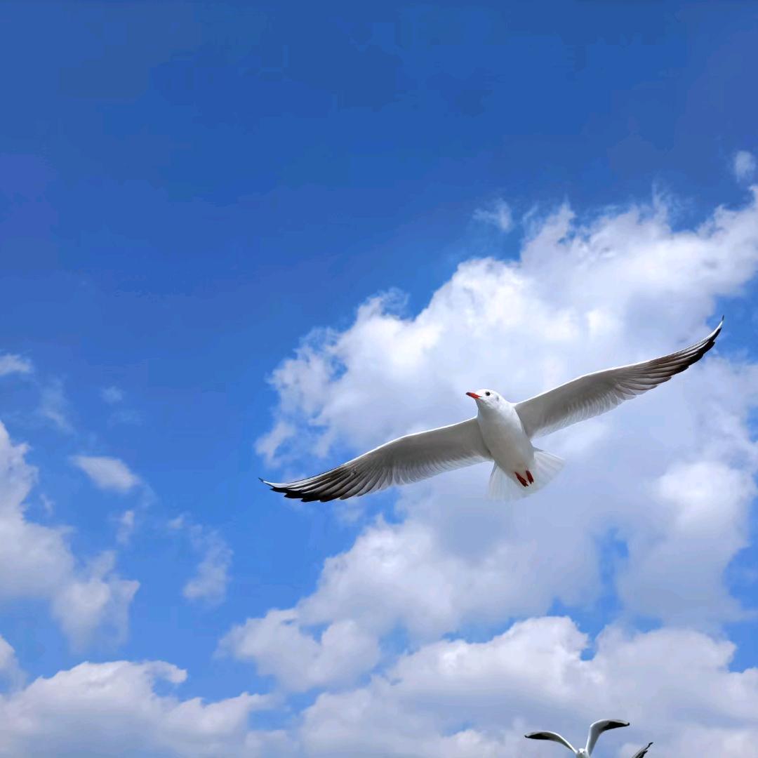 云武李教练-专注青少年身体，心理问题