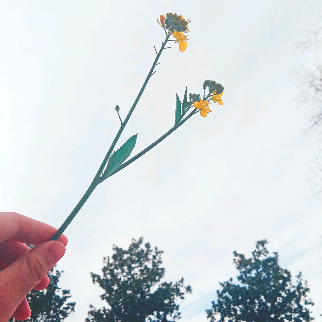 雨过天晴