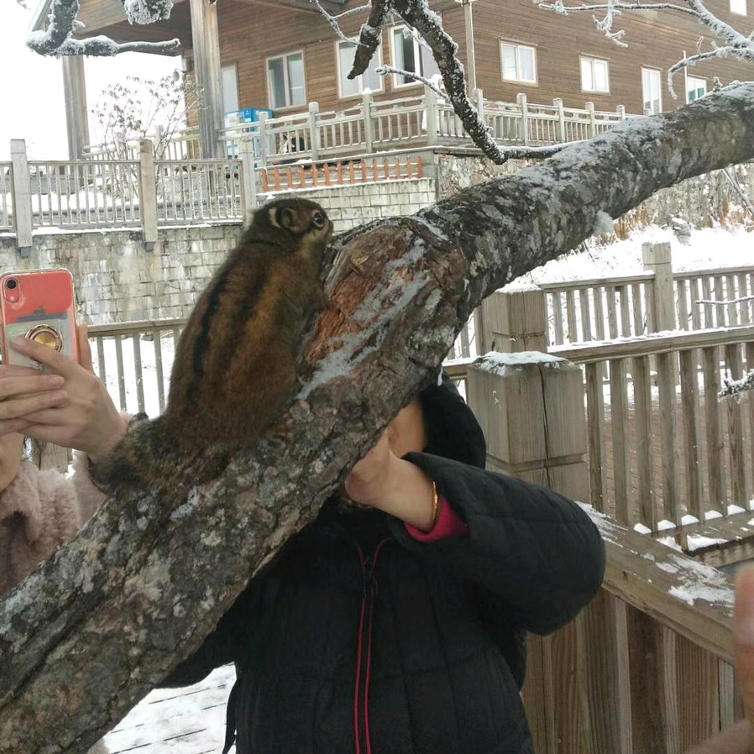 我还是原来的我